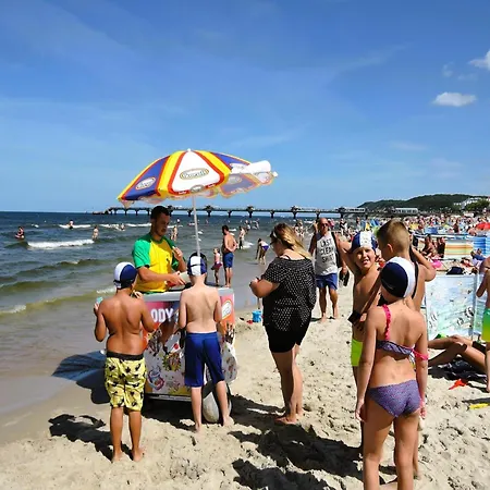 Homes For 6 People, *