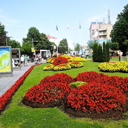 Homes For 6 People, *