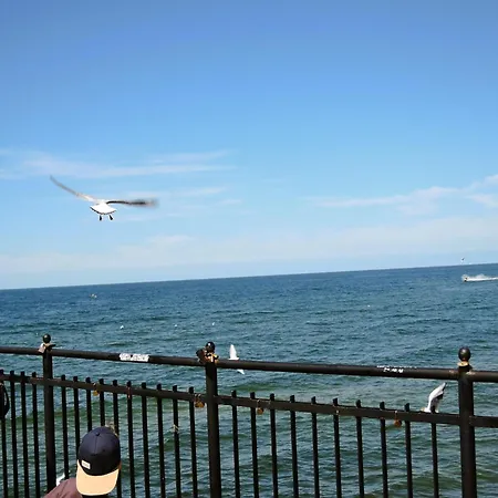 Homes For 6 People, *