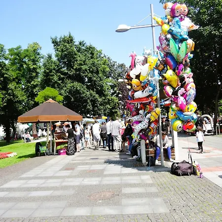 Homes For 6 People, Miedzyzdroje