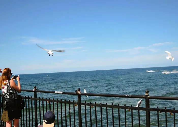 Homes For 6 People, *